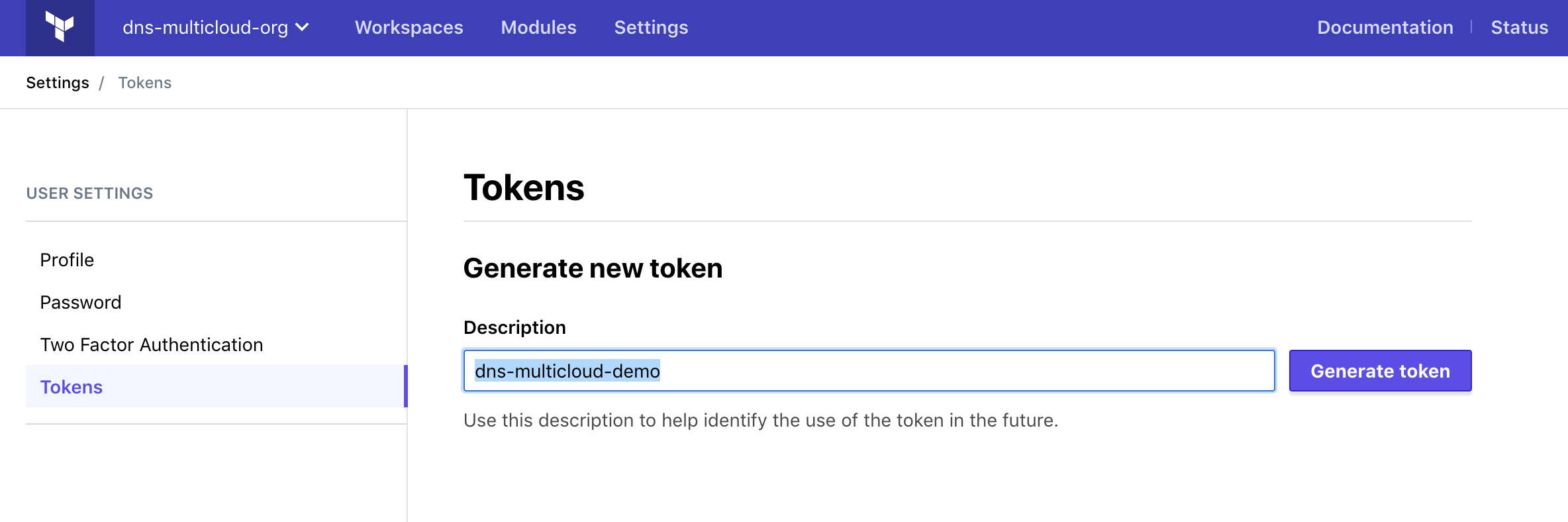 Token Section Terraform Cloud